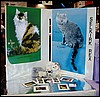 Selkirk Rex